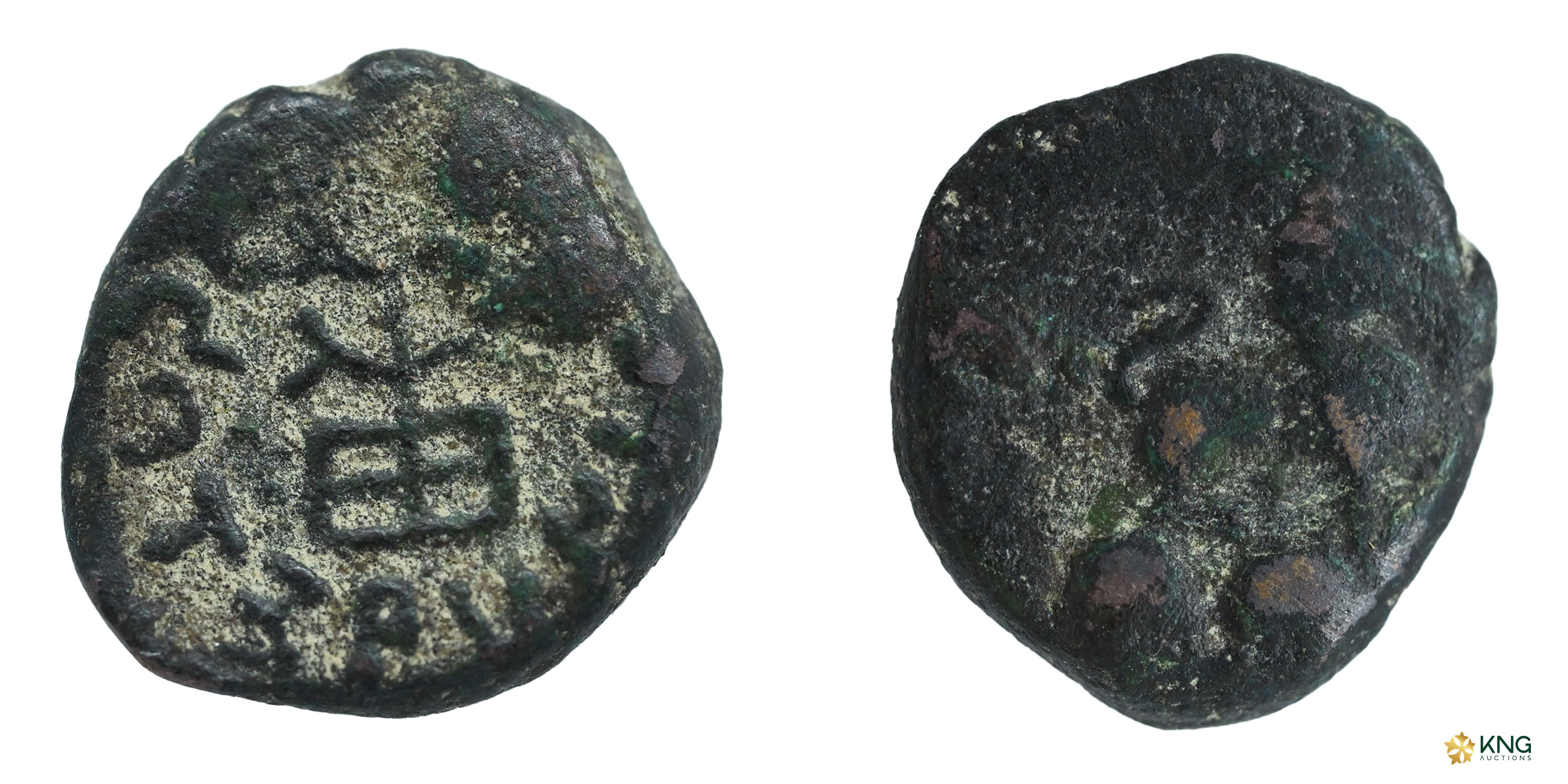 Ancient, Agacha / Agroha Janapada ( c. 200–100 BC ), Tribe of Punjab–Haryana, Lion type , 